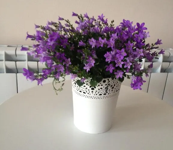 Къща за гости Hills *