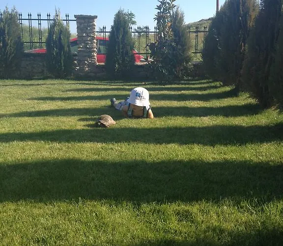 Къща за гости Hills *